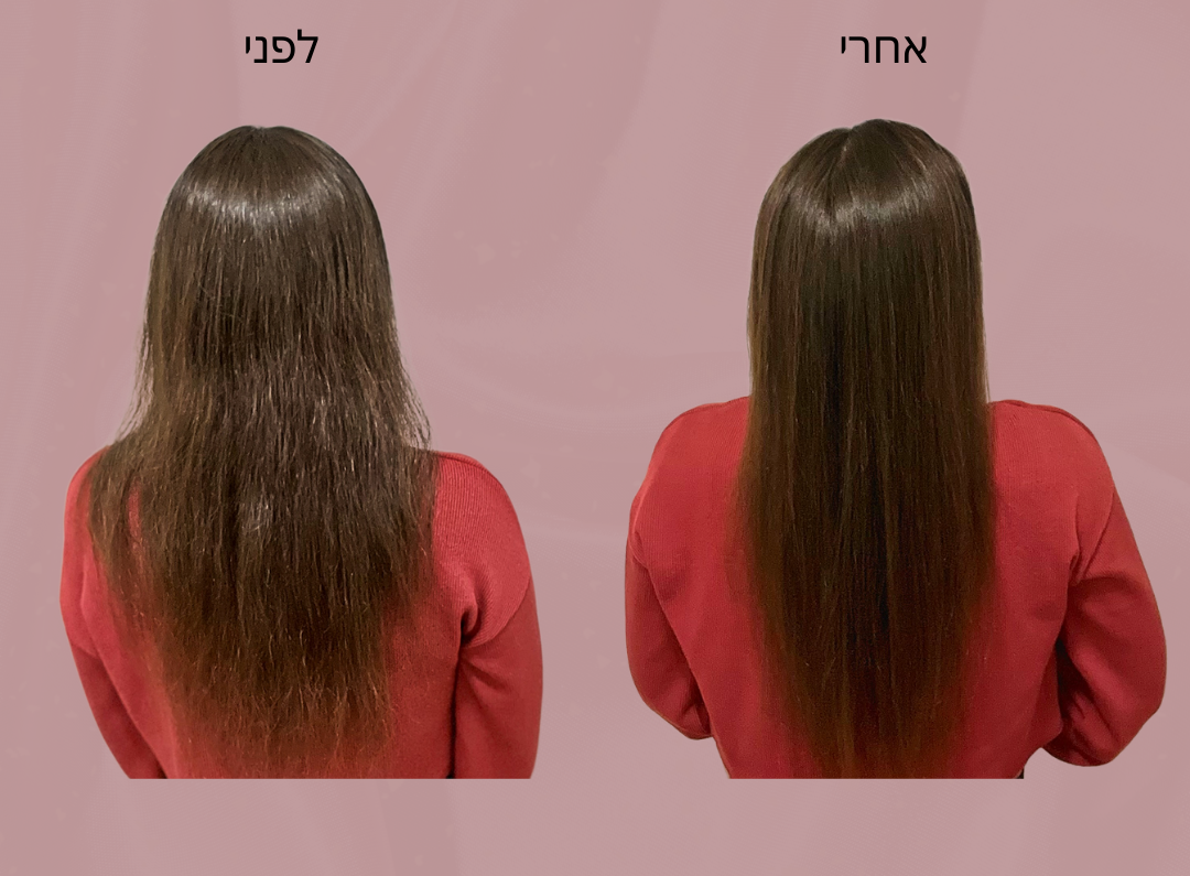 מברשת פן