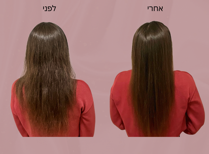 מברשת פן